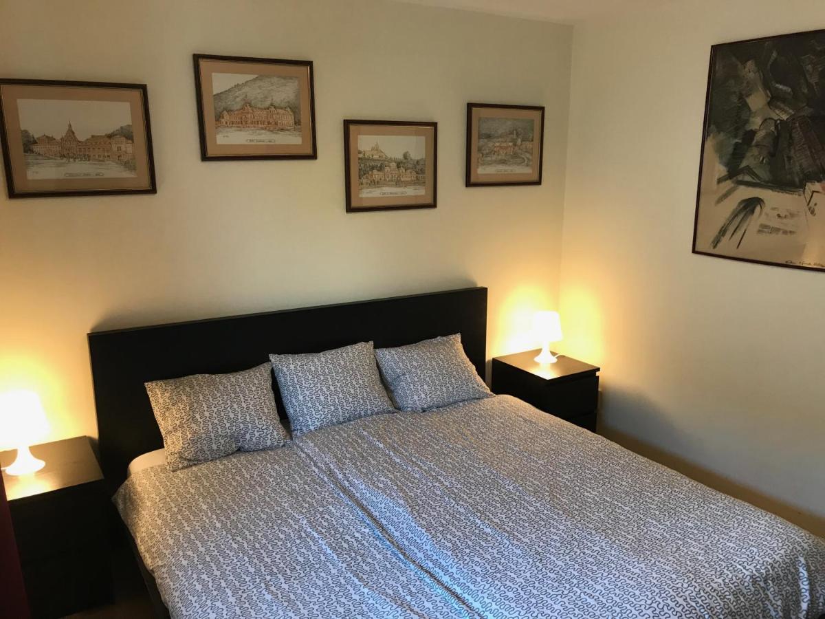 Lovely & Cozy Apartment Sinaia Luaran gambar