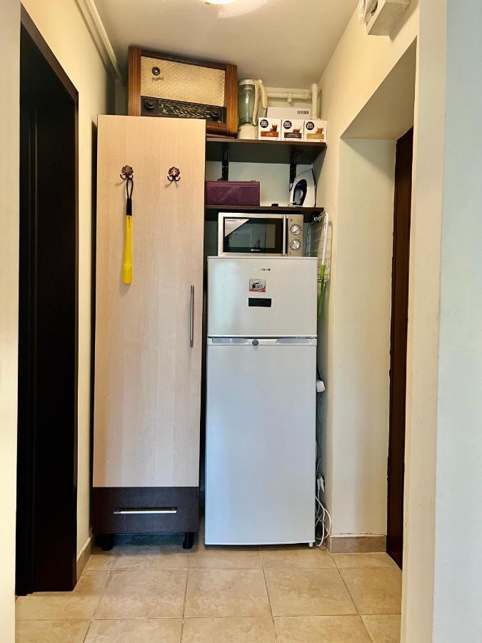 Lovely & Cozy Apartment Sinaia Luaran gambar
